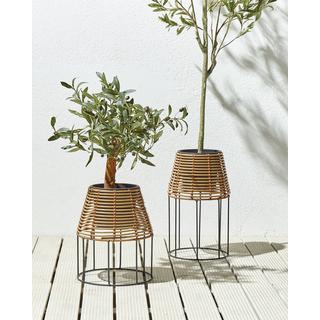 Beliani Lot de 2 pots de fleurs en Polyrotin Rustique BORAGO  