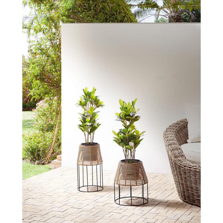 Beliani Set di 2 vasi rialzati per piante en Rattan sintetico  BORAGO  