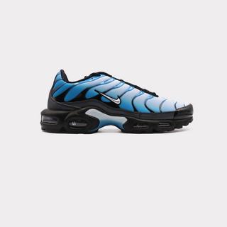 NIKE  Air Max Plus - Blue Gradient 