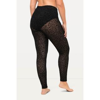 Ulla Popken  Leggings di calza con fantasia leopardata 