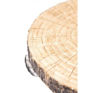 KARE Design Table d&#039;appoint Animal Polar Bear Ø37cm  