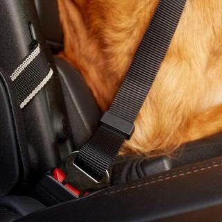 eStore  Ceinture de sécurité pour les animaux 