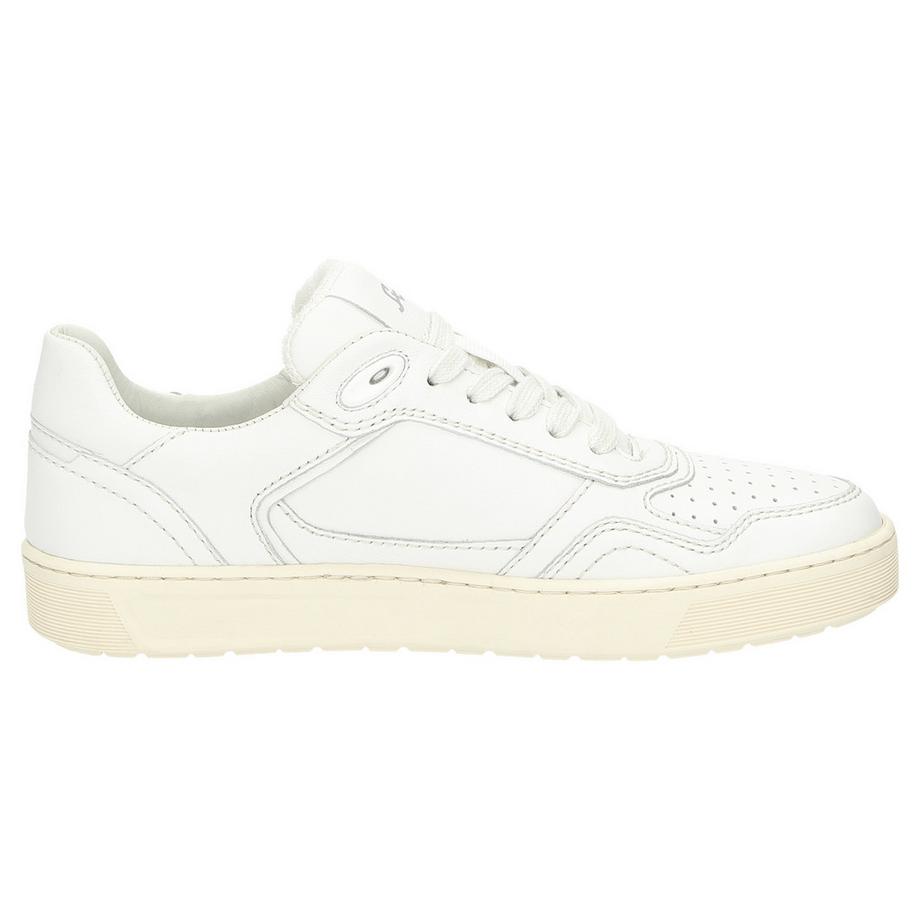 Sioux Tedroso-DA-700 Sneakers  