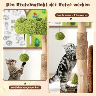 Northio  Arbre à chat avec griffoir pour chat avec grotte pour chat en forme de trou d'arbre 