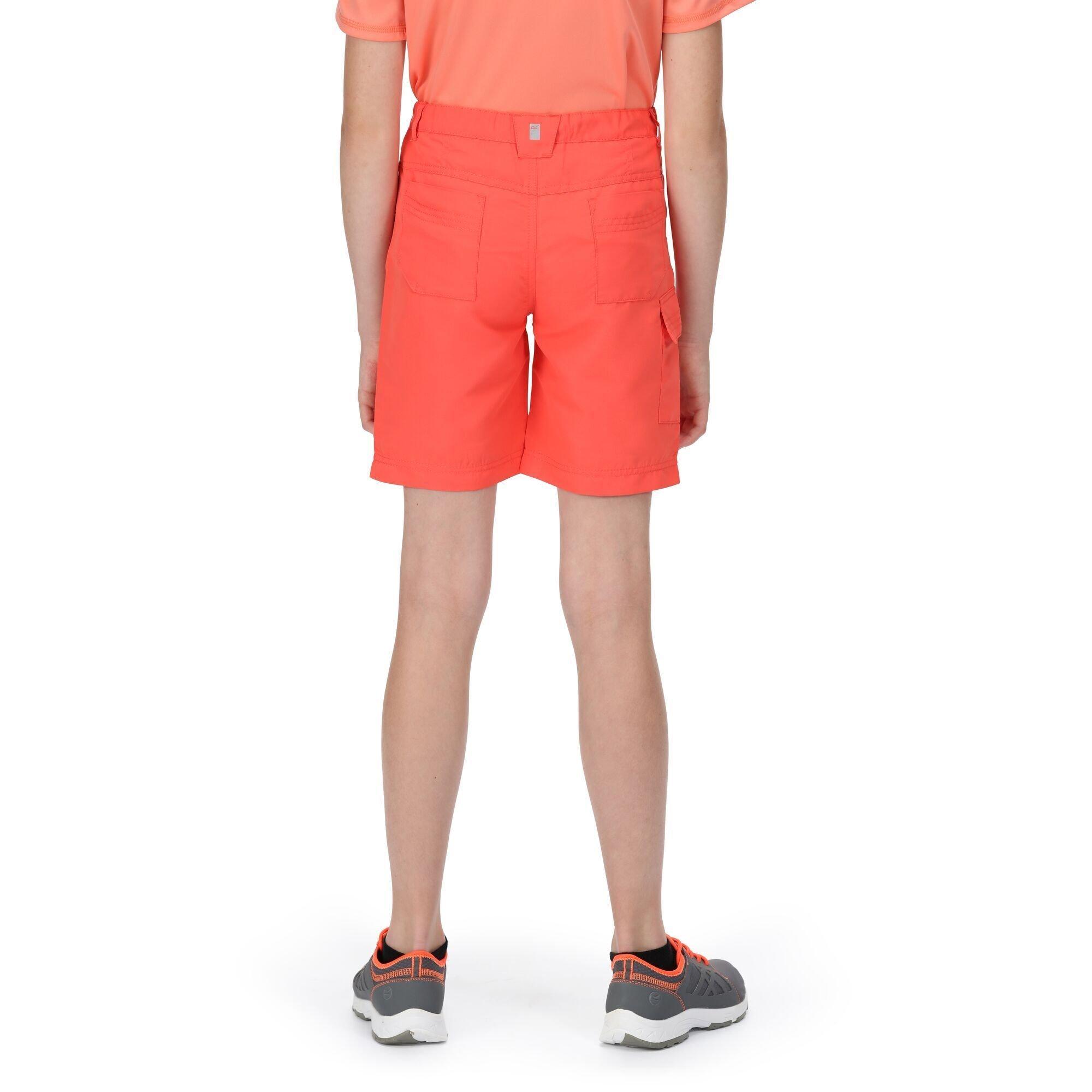 Regatta  Sorcer II Shorts 