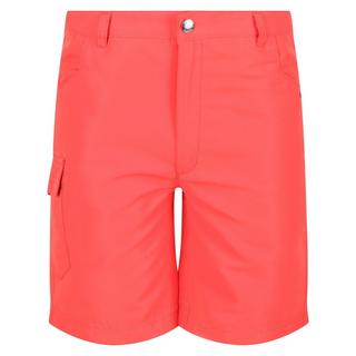 Regatta  Sorcer II Shorts 