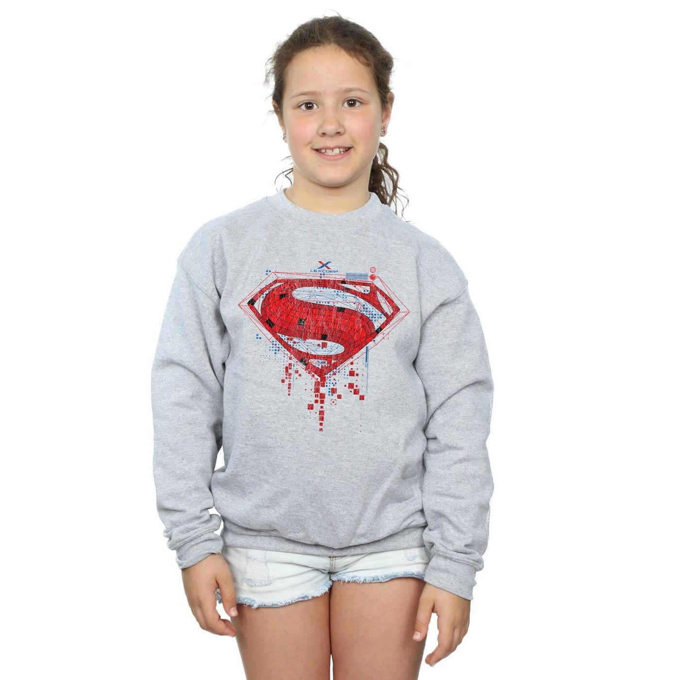 DC COMICS  Sweatshirt 