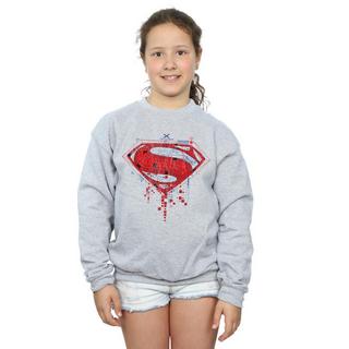 DC COMICS  Sweatshirt 