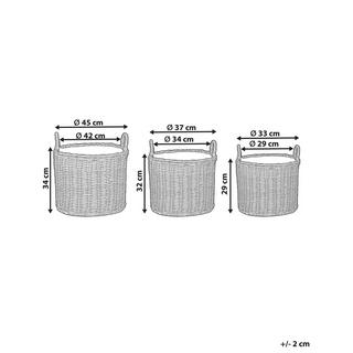 Beliani Lot de 3 pots de fleurs en Polyrotin Rustique PENDULA  