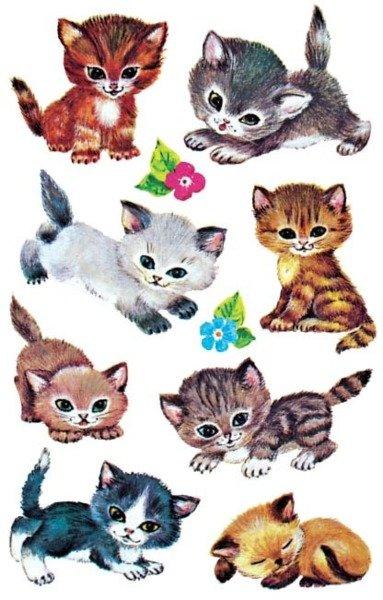 Z-DESIGN Z-DESIGN Sticker Kids 4346 Katzen 3 Stück  