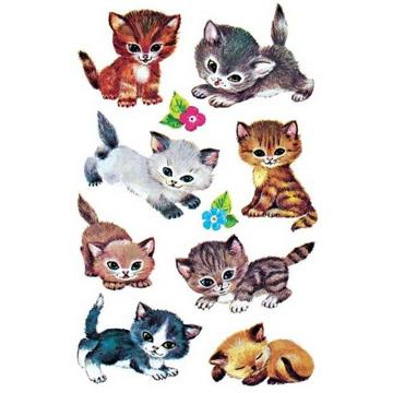 Z-DESIGN Sticker Kids 4346 Katzen 3 Stück