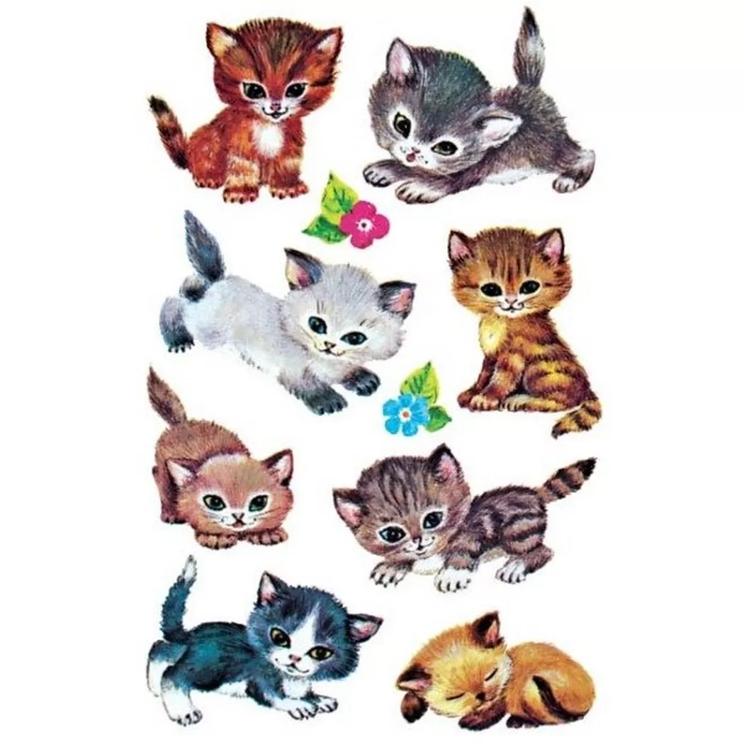 AVERY Zweckform ZDesign Sticker KIDS , Katzen,