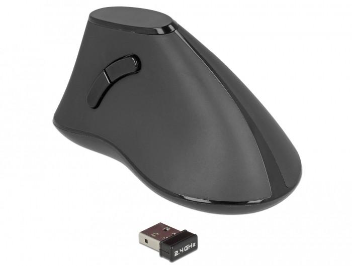 DeLock  12622 mouse Mano destra RF Wireless Ottico 1000 DPI 