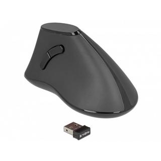 DeLock  12622 mouse Mano destra RF Wireless Ottico 1000 DPI 