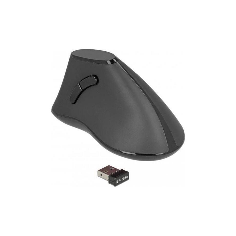 DeLock  Ergonomische Maus (Kabellos) 