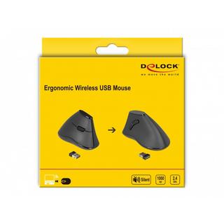 DeLock  12622 Maus rechts RF Wireless Optisch 1000 DPI 