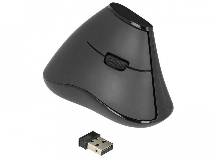 DeLock  12622 mouse Mano destra RF Wireless Ottico 1000 DPI 