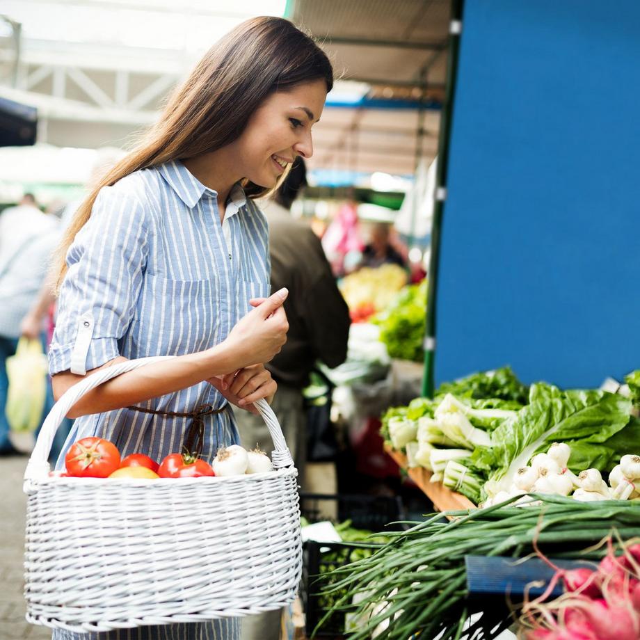 B2X  2 Stk. Seitenwände für Partyzelte 