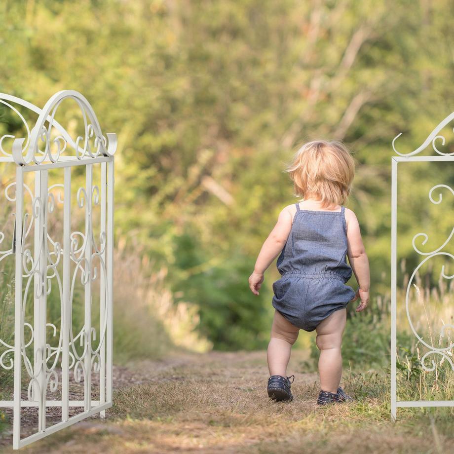 B2X  Cancello da giardino bianco, 3 parti 