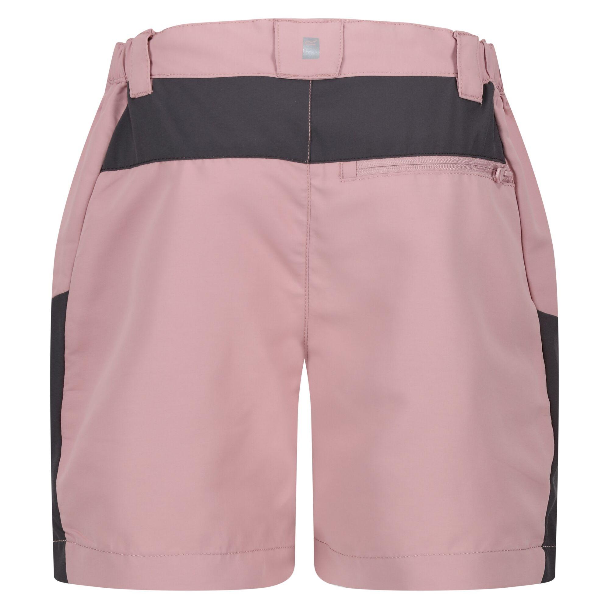 Regatta  Sorcer Mountain III Shorts 