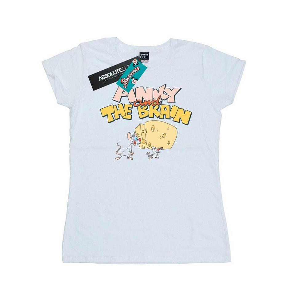 TShirt