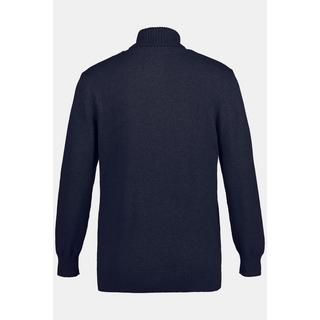 JP1880 Pull col roulé en maille  