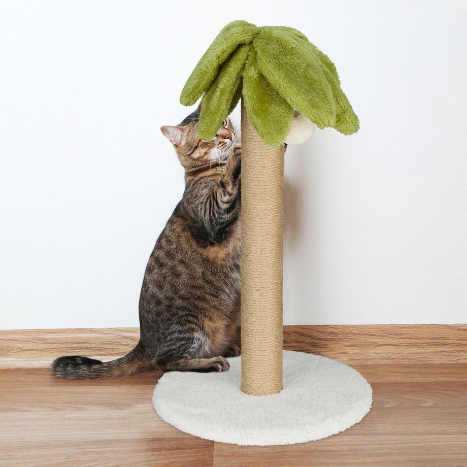 Northio  Planche à gratter en palmier 