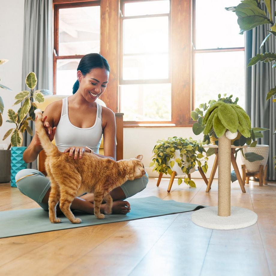 Northio  Planche à gratter en palmier 