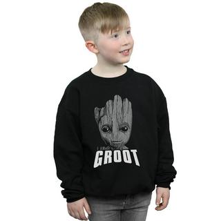 MARVEL  Guardians Of The Galaxy Sweatshirt 