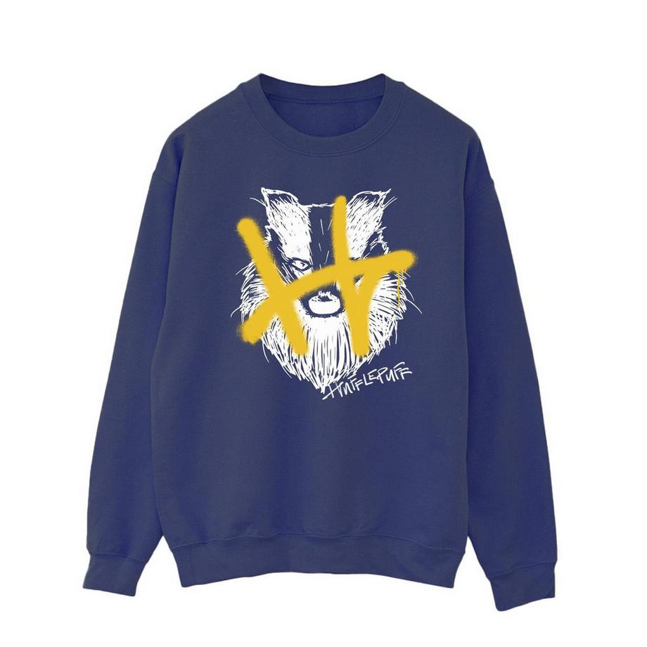 Harry Potter Hufflepuff Sweatshirt  