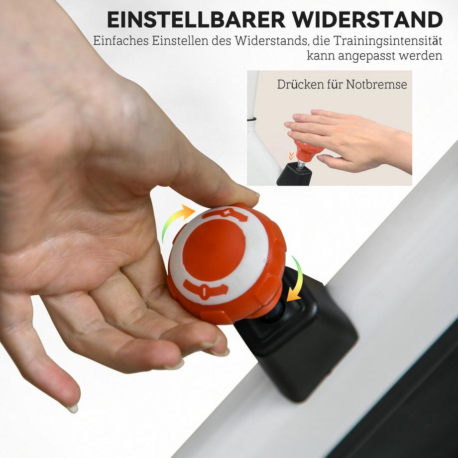 Sportnow  disques de poids 