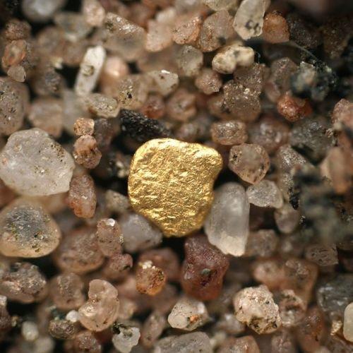 Image of Goldwaschtag Im Napfgebiet (für 1 Person) Unisex