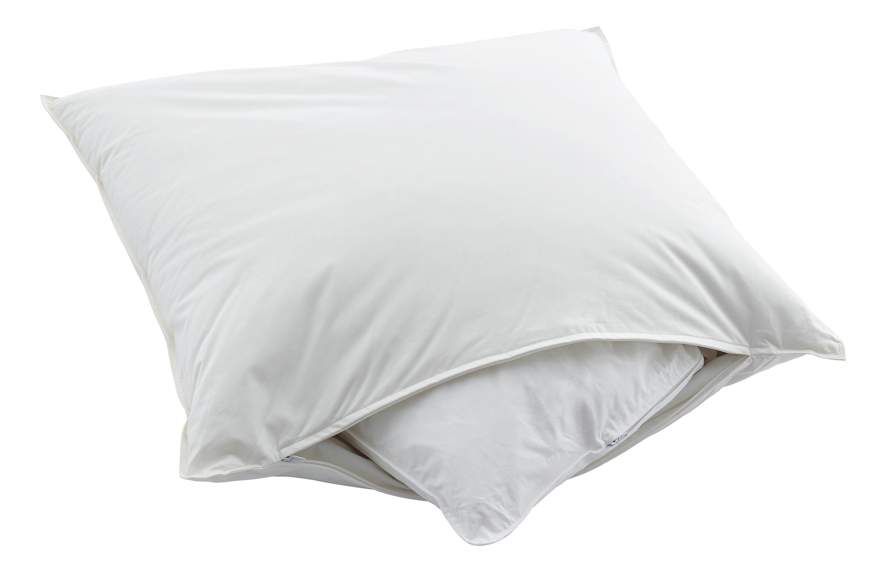 Swiss Dream Kopfkissen Nature Pillow Classic 90  