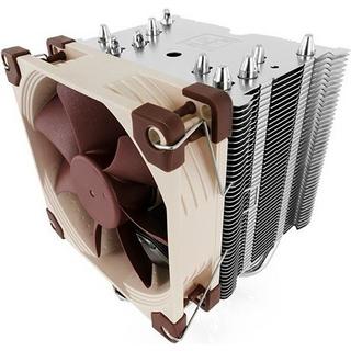 Noctua  Noctua 