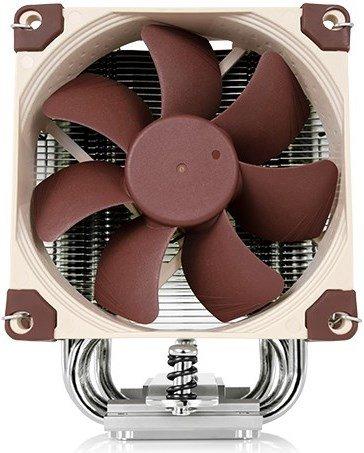 Noctua  Noctua 