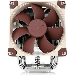 Noctua  Noctua 