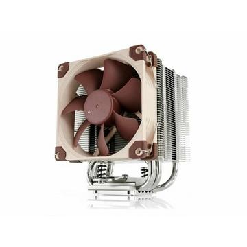 Noctua