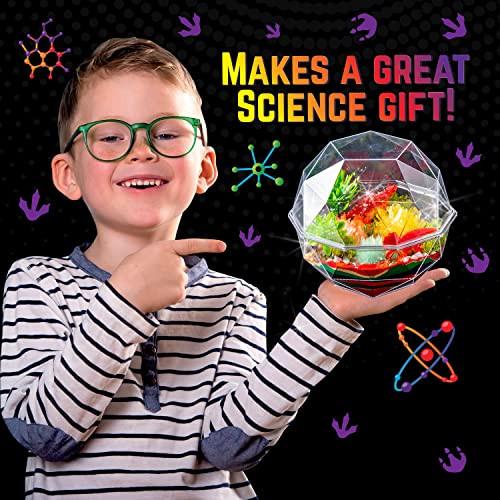 Activity-board  Grow Your Own Crystal Dinosaur Terrarium Kit, Komplett-Set für die Kristallzucht mit 2 Dinosaurierfiguren und Samen für die Zucht von 3 Kristallen für Kinder 