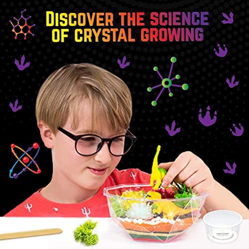 Activity-board  Grow Your Own Crystal Dinosaur Terrarium Kit, Komplett-Set für die Kristallzucht mit 2 Dinosaurierfiguren und Samen für die Zucht von 3 Kristallen für Kinder 