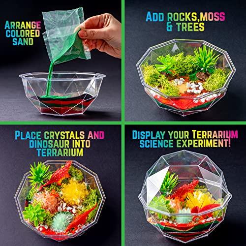 Activity-board  Grow Your Own Crystal Dinosaur Terrarium Kit, Komplett-Set für die Kristallzucht mit 2 Dinosaurierfiguren und Samen für die Zucht von 3 Kristallen für Kinder 