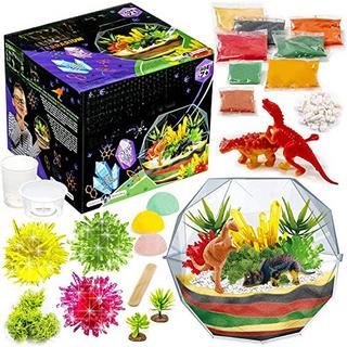 Activity-board  Grow Your Own Crystal Dinosaur Terrarium Kit, Komplett-Set für die Kristallzucht mit 2 Dinosaurierfiguren und Samen für die Zucht von 3 Kristallen für Kinder 