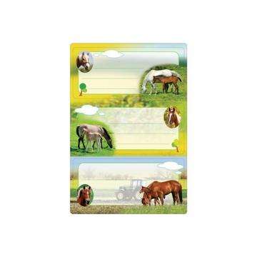 HERMA Schuletiketten 5568 Motiv 6 Stück