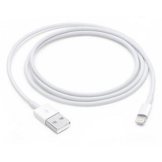 Apple  Câble Charge + Synchronisation Apple 