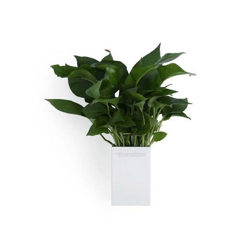 Forster Home Magnetischer Mehrzweckbecher für die Küche  