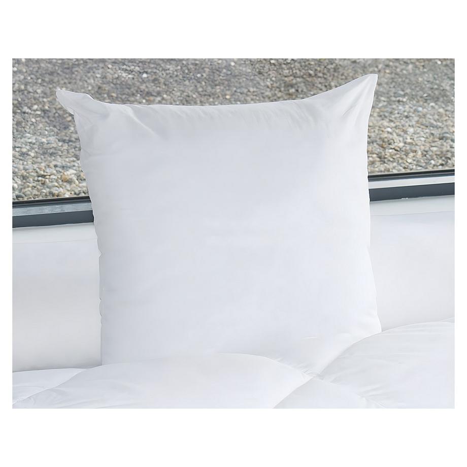 Vente-unique Guanciale 60 x 60 cm 600 gr - MARIN di DREAMEA  