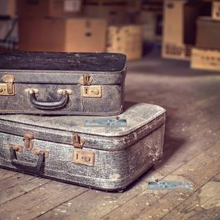 B2X Rattenfalle 4er Set  