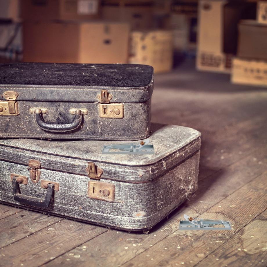 B2X Lot de 4 pièges à rats  