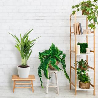 B2X Repose-pieds en bambou avec poignée  