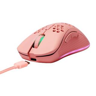 DELTACO  GAM-120-P mouse Mano destra RF Wireless + USB Type-C Laser 4800 DPI 