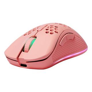 DELTACO  GAM-120-P souris Droitier RF Wireless + USB Type-C Laser 4800 DPI 